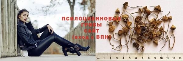 гашик Гусиноозёрск