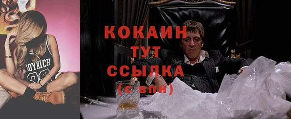 дживик Гусь-Хрустальный