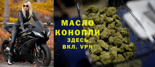 дживик Гусь-Хрустальный