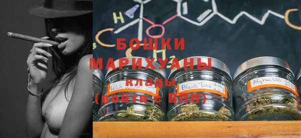 гашик Гусиноозёрск