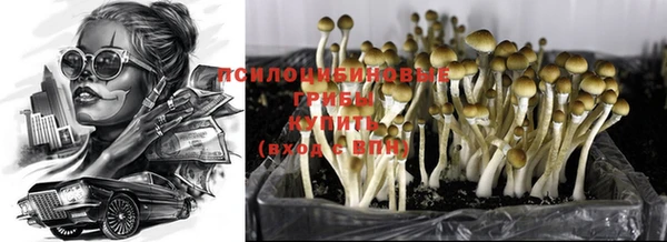 мяу мяу кристалл Гусев