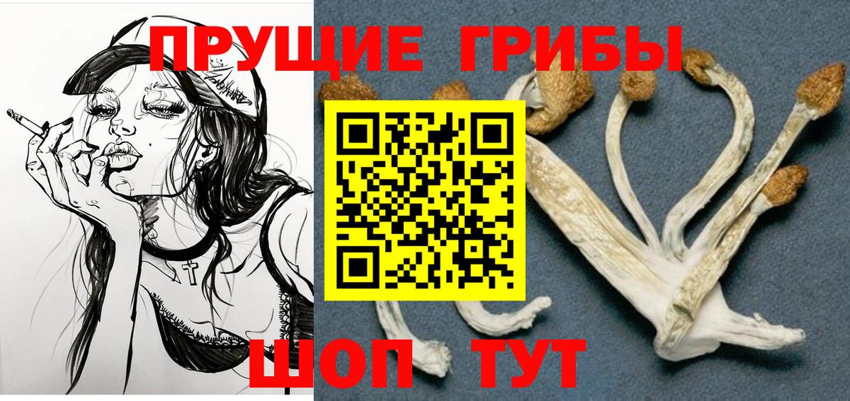 Псилоцибиновые грибы прущие грибы Петрозаводск
