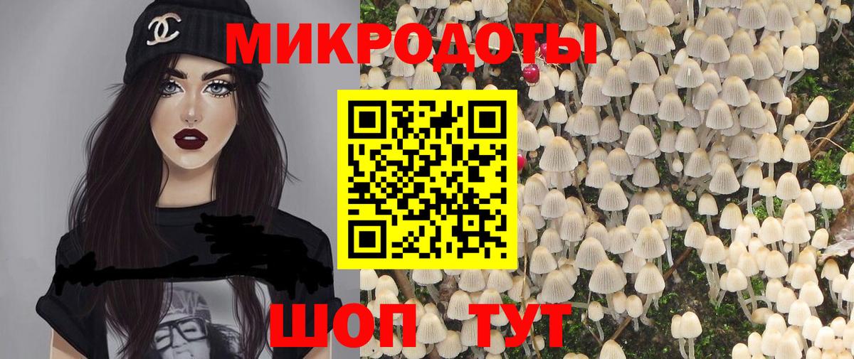 Псилоцибиновые грибы Cubensis  Вход с VPN  Петрозаводск 